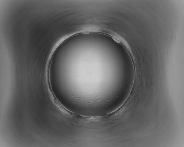 X0000112751488200908271531