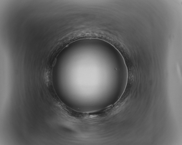 X0000112751490200908271531