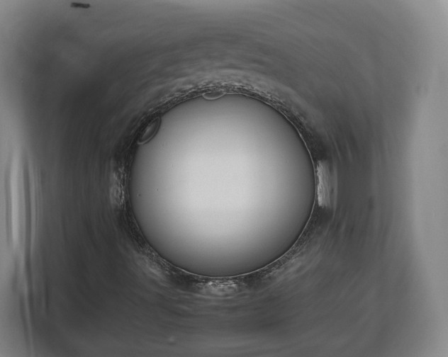 X0000112751491200908271531