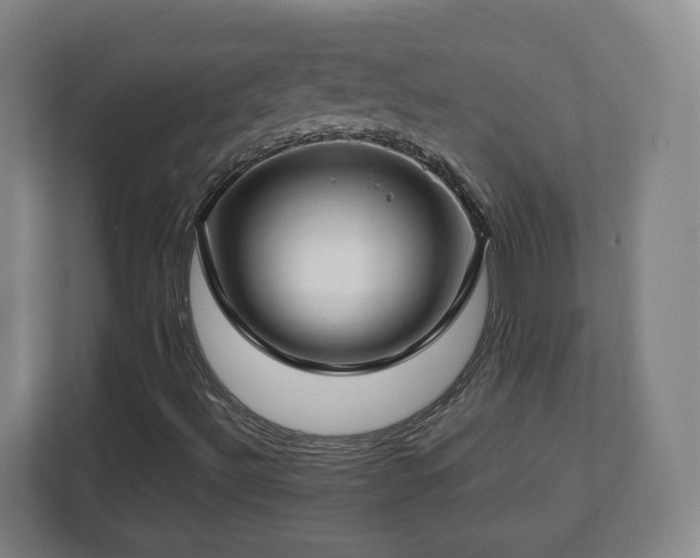 X0000112751492200908271531