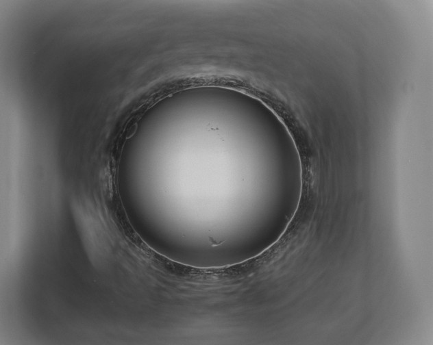 X0000112751493200908271531