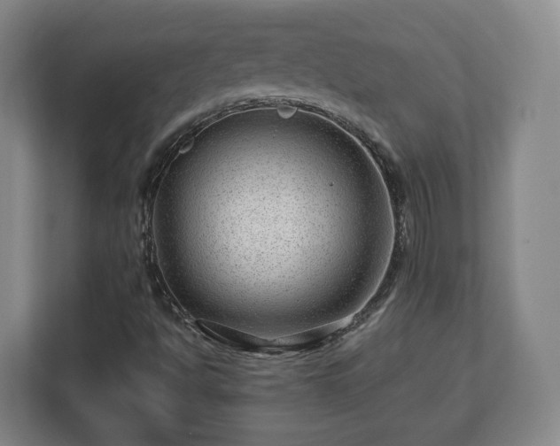 X0000112751494200908271531