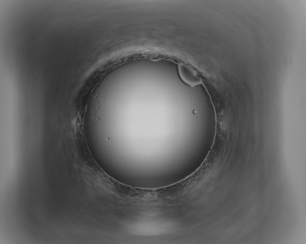 X0000112751495200908271531