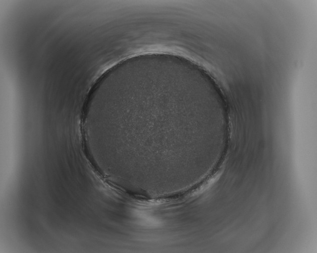 X0000112751497200908271531