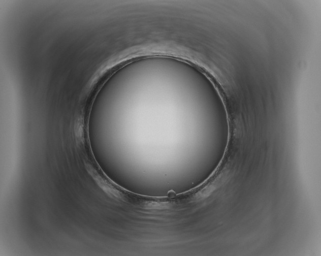 X0000112751499200908271531