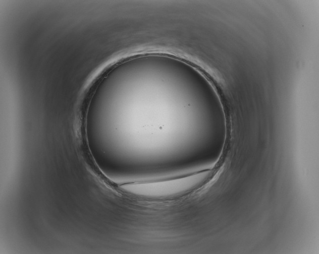 X0000112751502200908271531