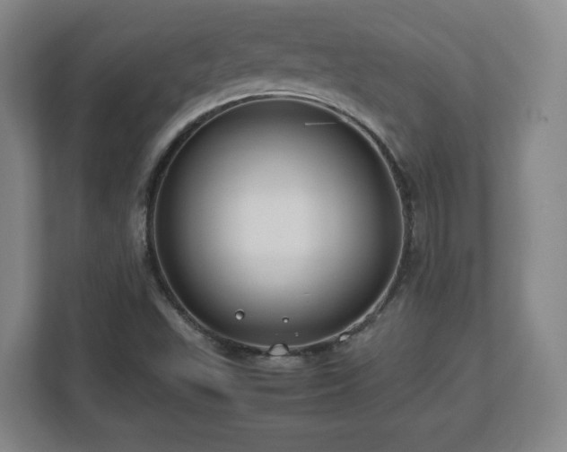 X0000112751503200908271531