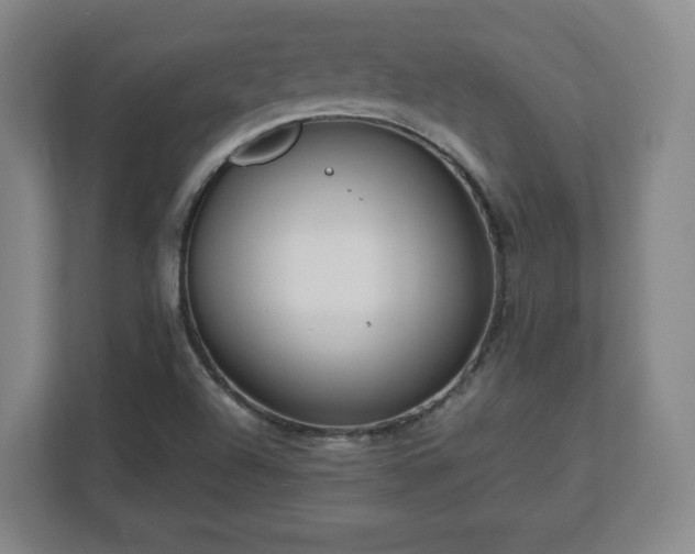 X0000112751504200908271531