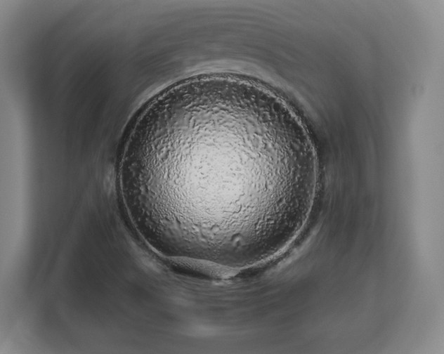 X0000112751505200908271531