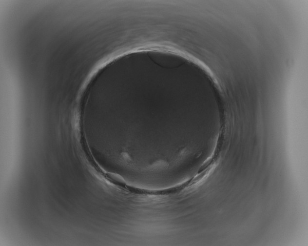 X0000112751506200908271531