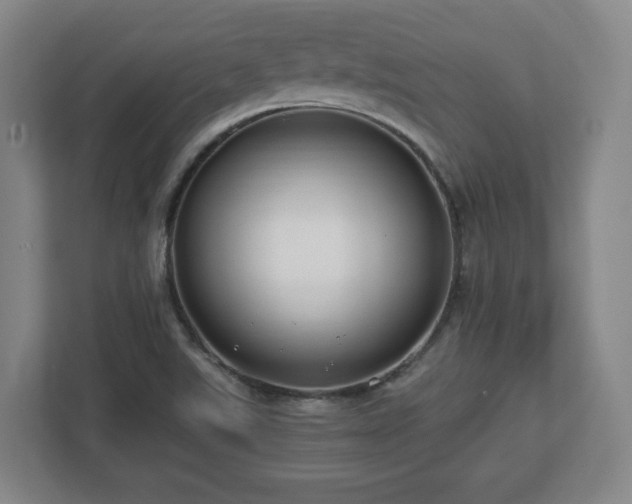 X0000112751507200908271531