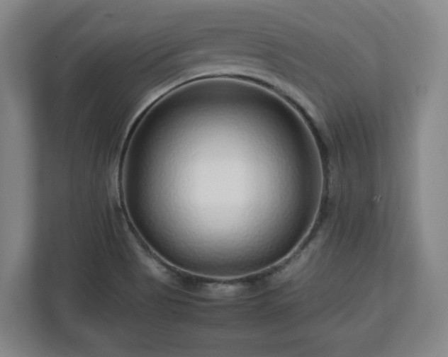 X0000112751513200908271531