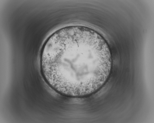 X0000112751514200908271531