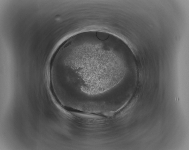 X0000112751515200908271531