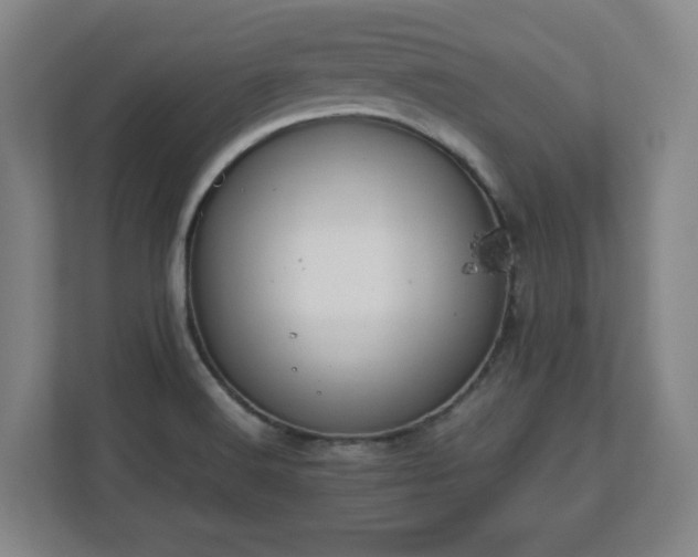 X0000112751516200908271531