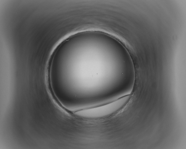 X0000112751518200908271531