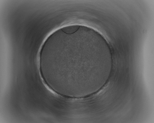 X0000112751519200908271531