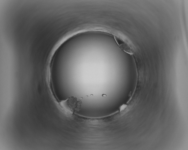 X0000112751520200908271531