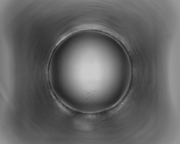 X0000112751521200908271531