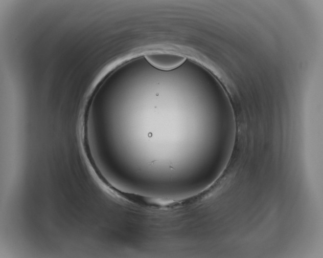 X0000112751523200908271531