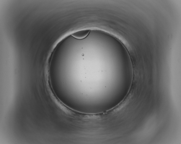 X0000112751526200908271531