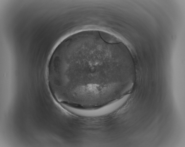 X0000112751527200908271531