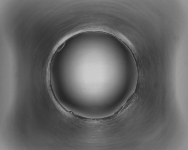 X0000112751528200908271531