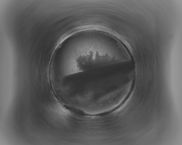 X0000112751529200908271531