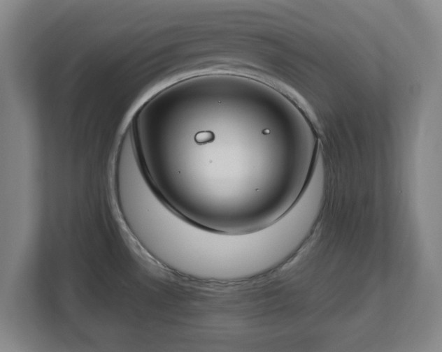 X0000112751530200908271531