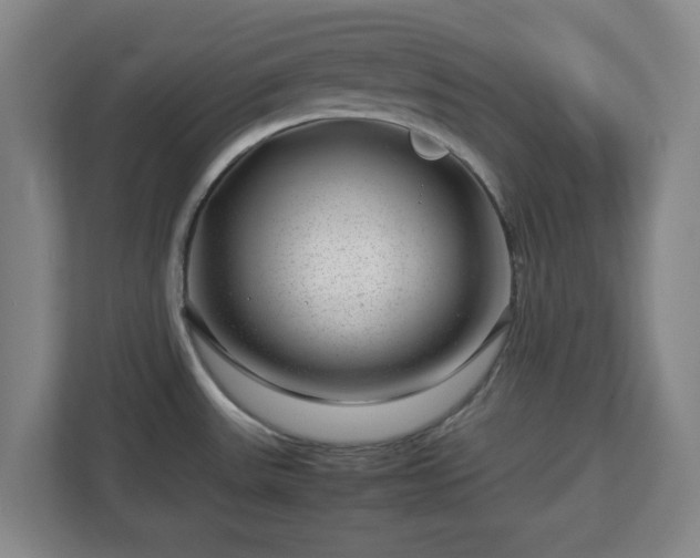 X0000112751531200908271531