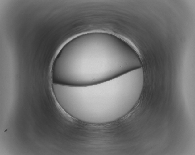 X0000112751532200908271531