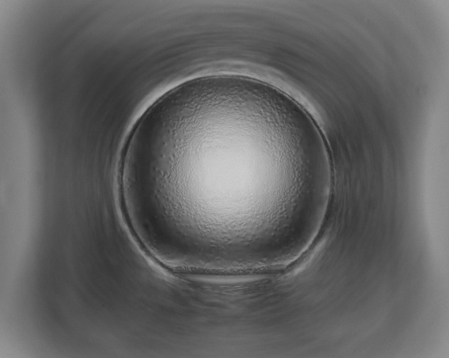 X0000112751533200908271531