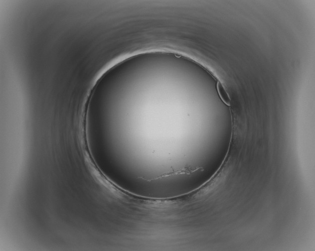 X0000112751534200908271531