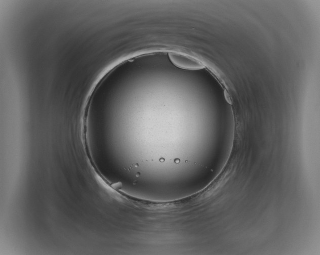 X0000112751535200908271531