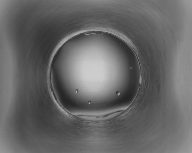 X0000112751536200908271531