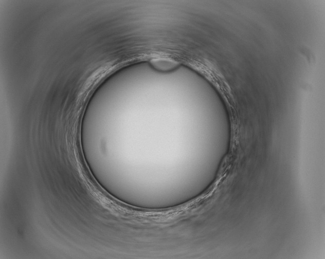 X0000112750001200909031536