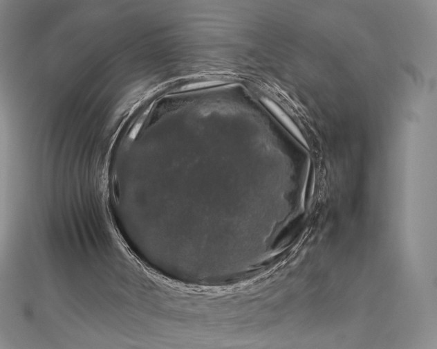 X0000112750002200909031536