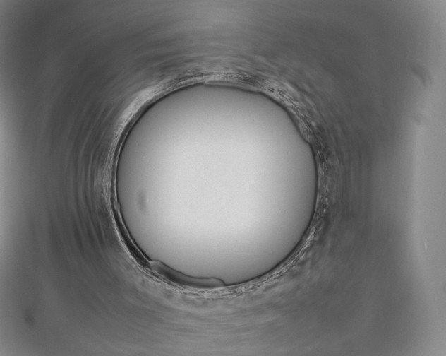 X0000112750003200909031536