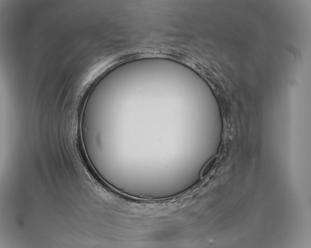 X0000112750005200909031536