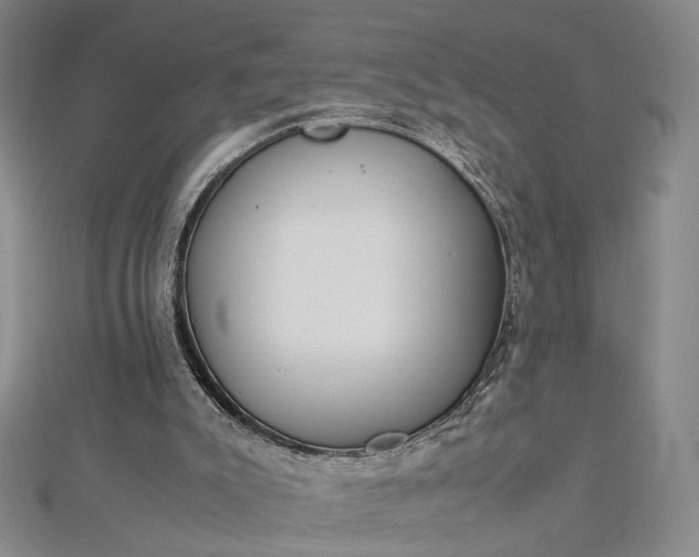 X0000112750007200909031536