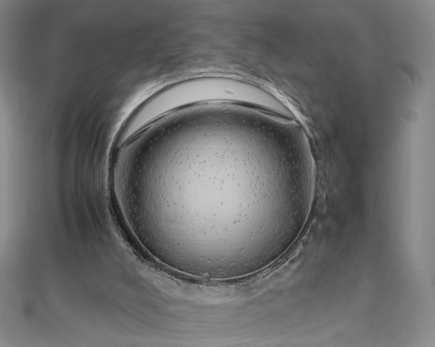 X0000112750008200909031536