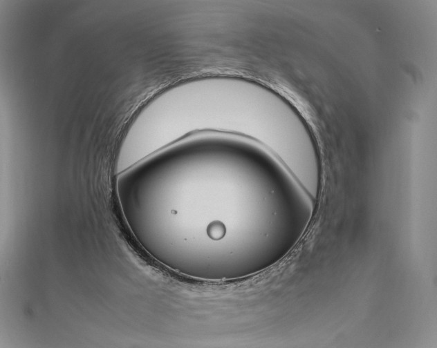 X0000112750009200909031536