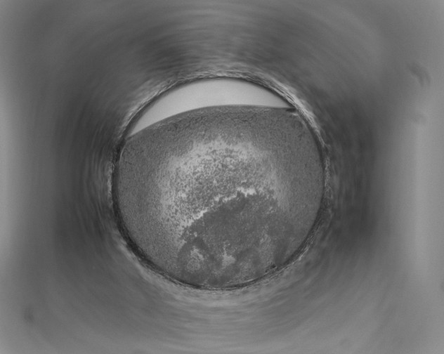 X0000112750010200909031536