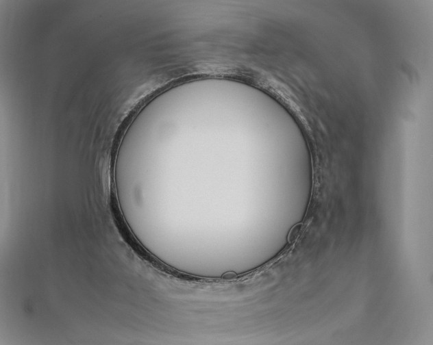 X0000112750011200909031536