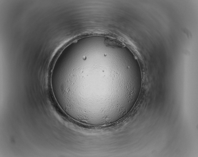 X0000112750012200909031536