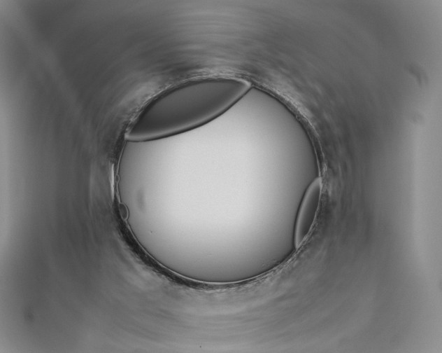 X0000112750013200909031536