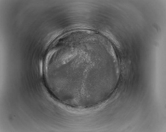 X0000112750014200909031536