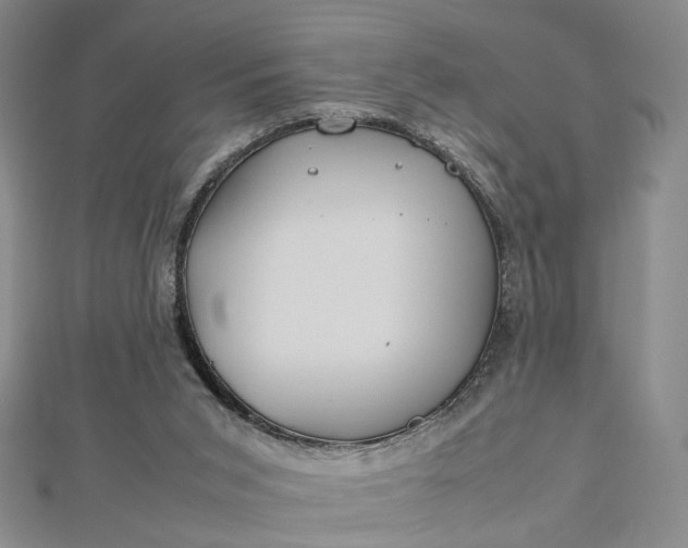 X0000112750015200909031536