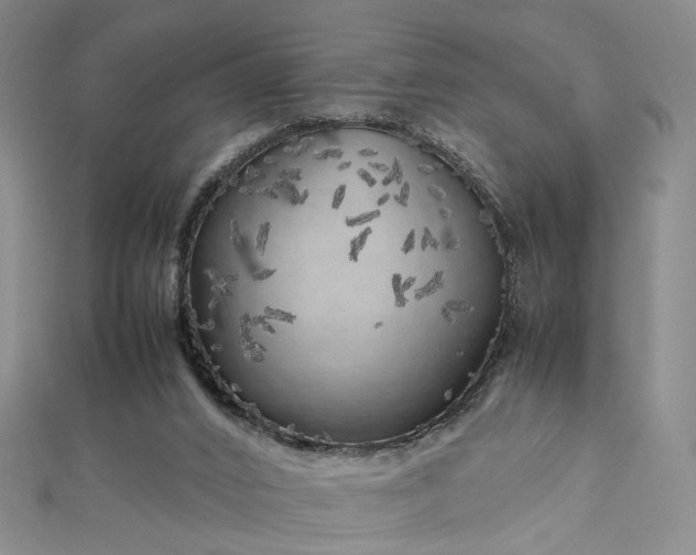 X0000112750016200909031536