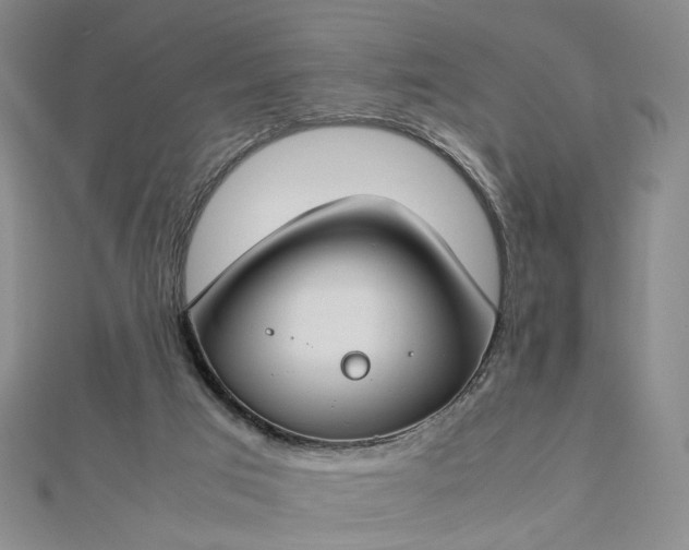 X0000112750017200909031536